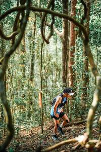 BIB: 
                            <button type="button" onclick="openModal(25238317)" class="btn btn-primary btn-sm float-right btn-popup" data-toggle="modal" data-target=".modal-high-quality">
                        <i class="fas fa-shopping-cart"></i> Add to Cart
                    </button>
                                            <button type="button" onclick="isThisMe(25238317, true)" class="btn btn-success btn-sm float-right btn-popup btn-isme hidden" data-toggle="tooltip" data-placement="bottom" title="นี่คือรูปของคุณใช่ไหม คลิกที่นี่เพื่อเอาเข้าอัลบั้ม">
                        <i class="fas fa-plus"></i> Add to album
                    </button>
                    <button type="button" onclick="isThisMe(25238317, false)" class="btn btn-warning btn-sm float-right btn-popup btn-isnotme hidden">
                        <i class="fas fa-ban"></i> Remove from album
                    </button>